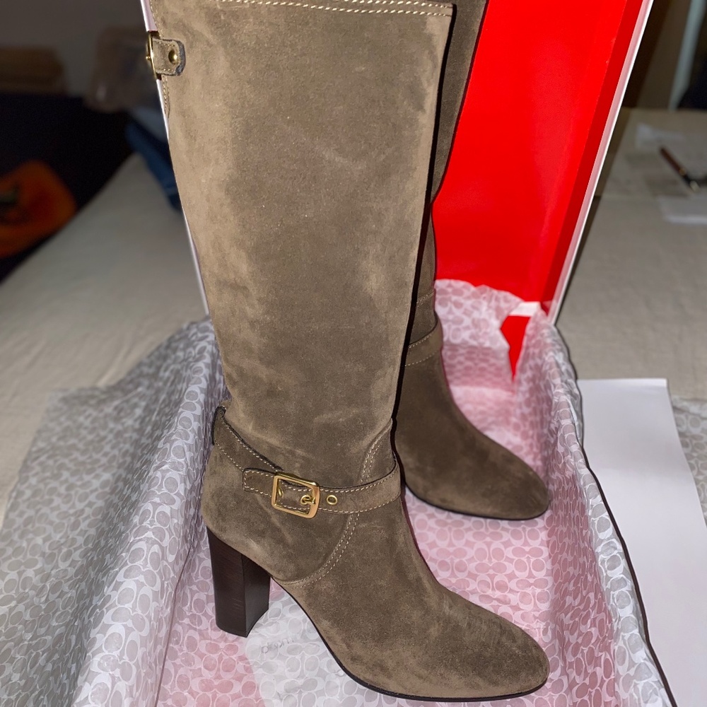 NIB Coach A7284 Suede Robynn Heeled Boots in Flint Goldtone Hardware Sz 9 $528